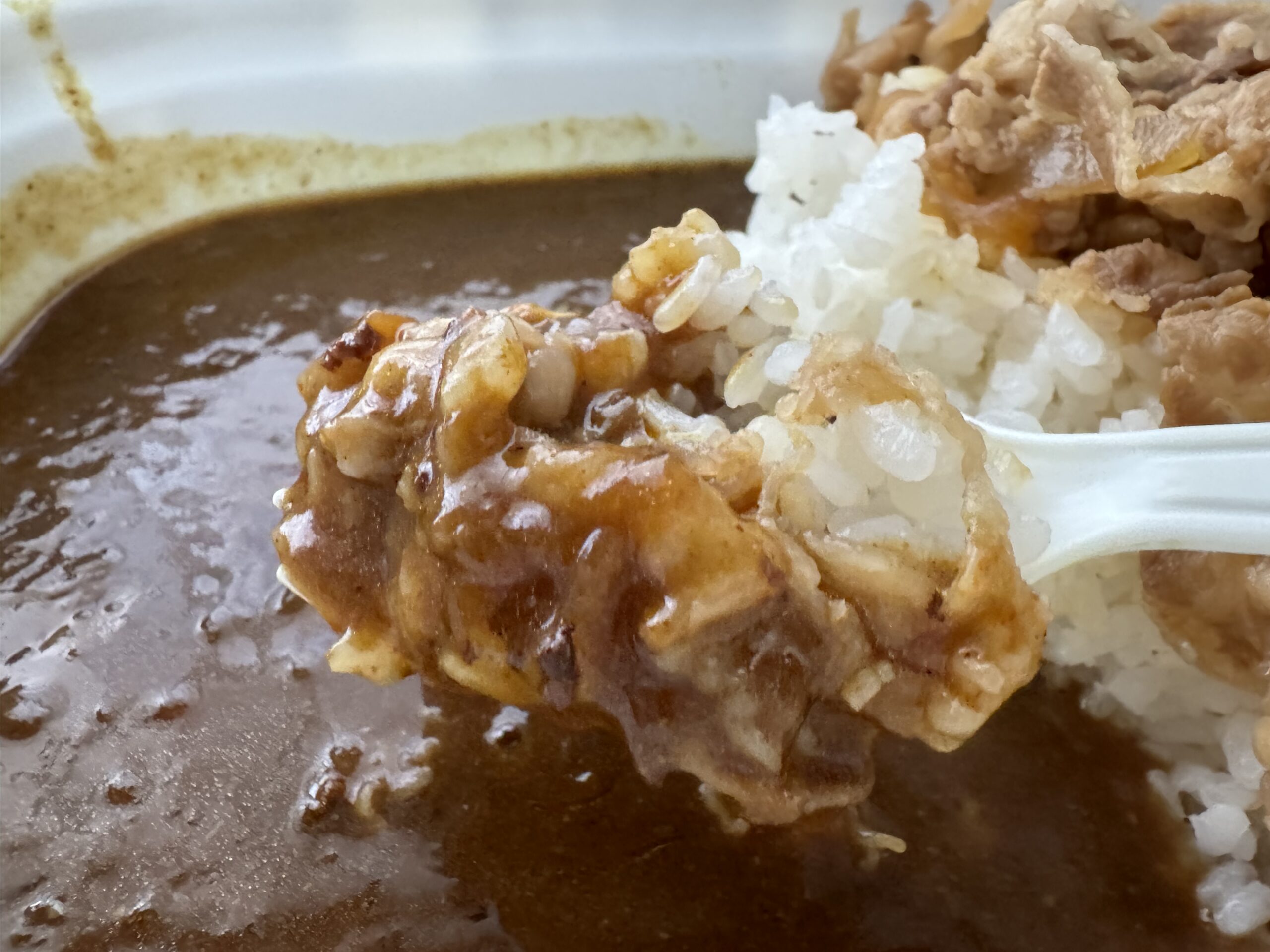 すき家_カレー牛丼