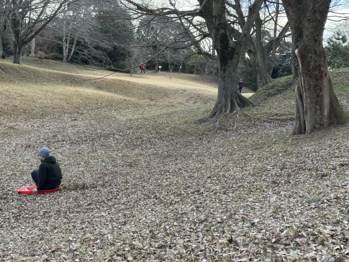 城址公園-芝滑り